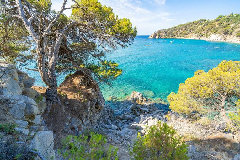 Camping Cala LLevado **** photo 6 Costa Brava Tohapi